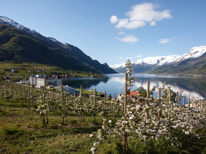 Cecilie har vært på Hotel Ullensvang i Hardanger og gått Dronningstien. Dette er Dronning Sonjas egen favoritt-fjelltur i Hardanger.